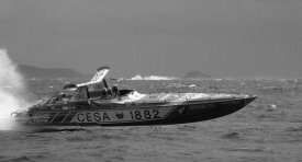 Cesa 1982